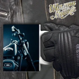 Прикольные кружки: Чашка Мото 026 Harley Davidson